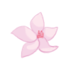 azalea flower